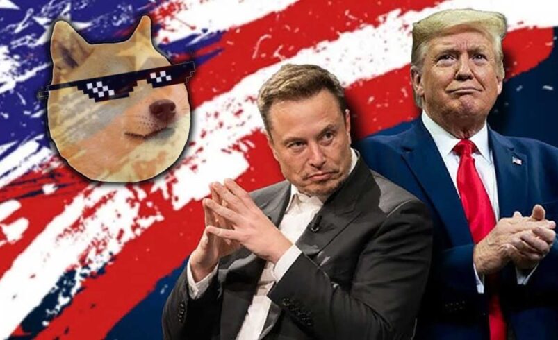 Meme Coin Günlerdir Yükselişte: Musk’ın Açıklamalarından Yardımcı Buldu | Paratic