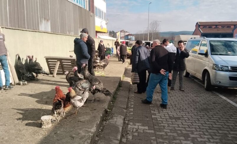 3 bin 500 liradan pazardaki yerini aldı: Demir ve protein açısından varlıklı, kolesterole iyi geliyor