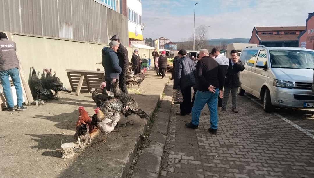 3 bin 500 liradan pazardaki yerini aldı: Demir ve protein açısından varlıklı, kolesterole iyi geliyor