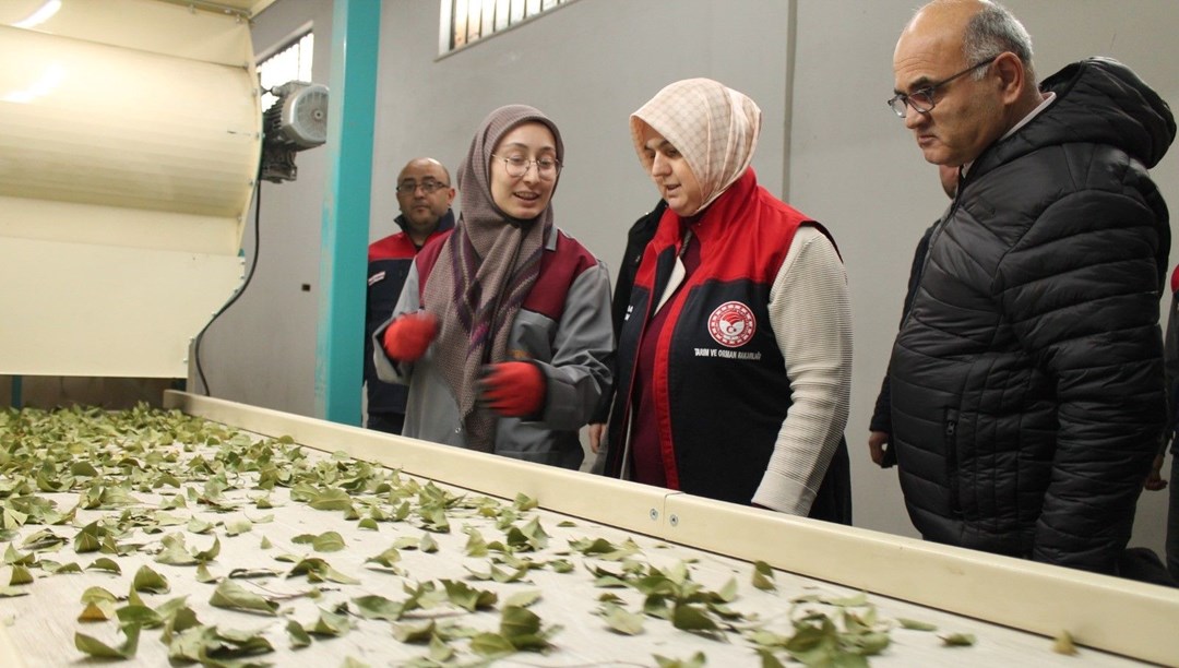 Devletten bağışlama aldı, kapasiteyi 3’e katladı