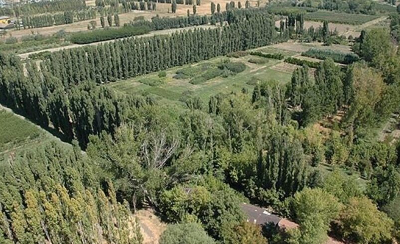 Mustafa Kemal Atatürk Orman Çiftliği'nin park alanı kiralanacak