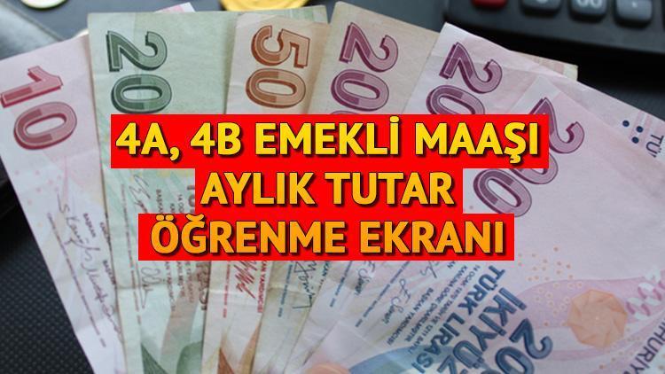 SGK 4A-4B EMEKLİ MAAŞI GÜNCEL MİKTARI HESAPLAMA ROBOTU (2024-2025 FARKI) || Aradaki ayrım geriledi! SSK, BAĞKUR emekli aylığı ne kadar? SGK emekli maaşı miktarı yeni yılda düşecek mi, aylık farkı ne kadar?