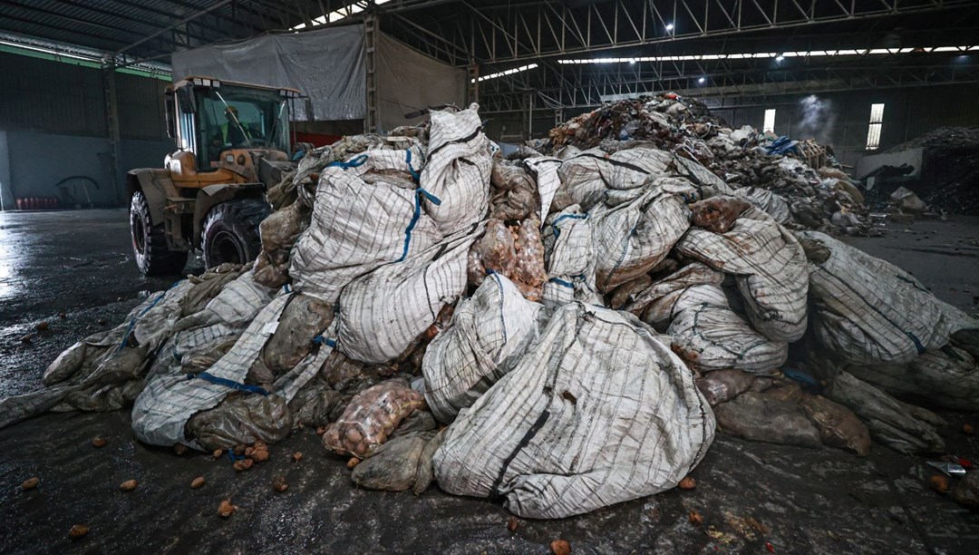 Türkiye'de en oldukça tüketilen sebzede rahatsızlık. 400 ton patates imha edildi, 2 bin 100 ton daha imha edilecek